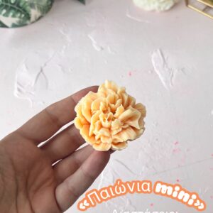 Παιώνια mini