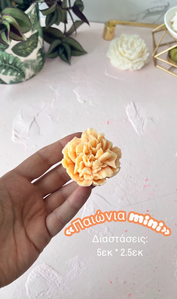 Παιώνια mini