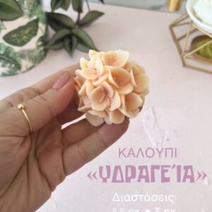 Ορτανσία