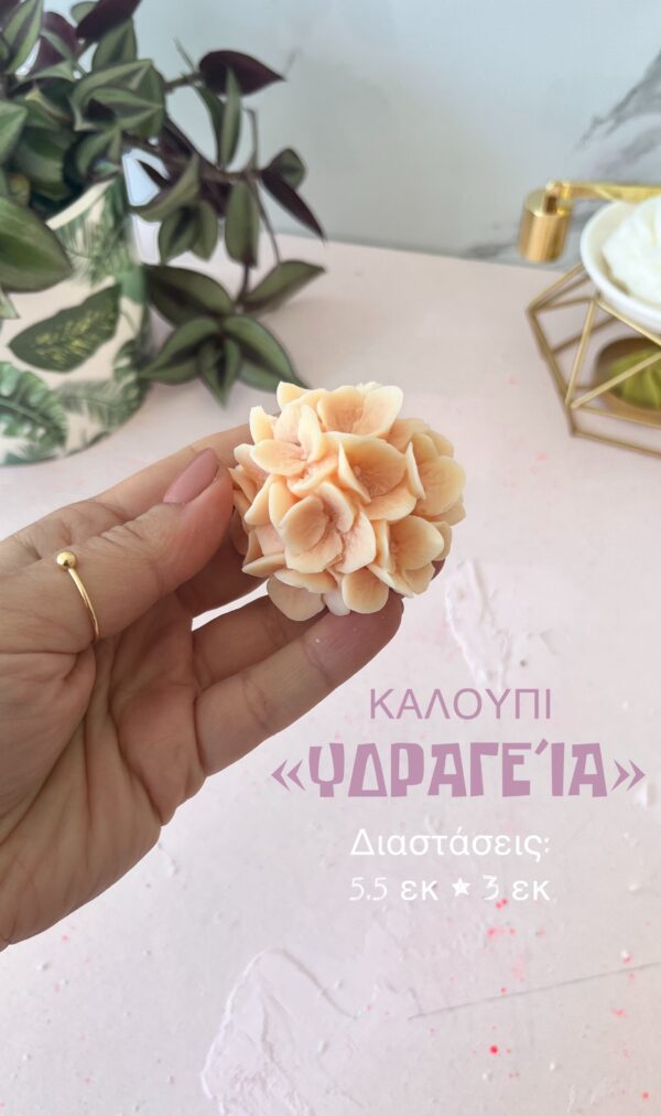 Ορτανσία