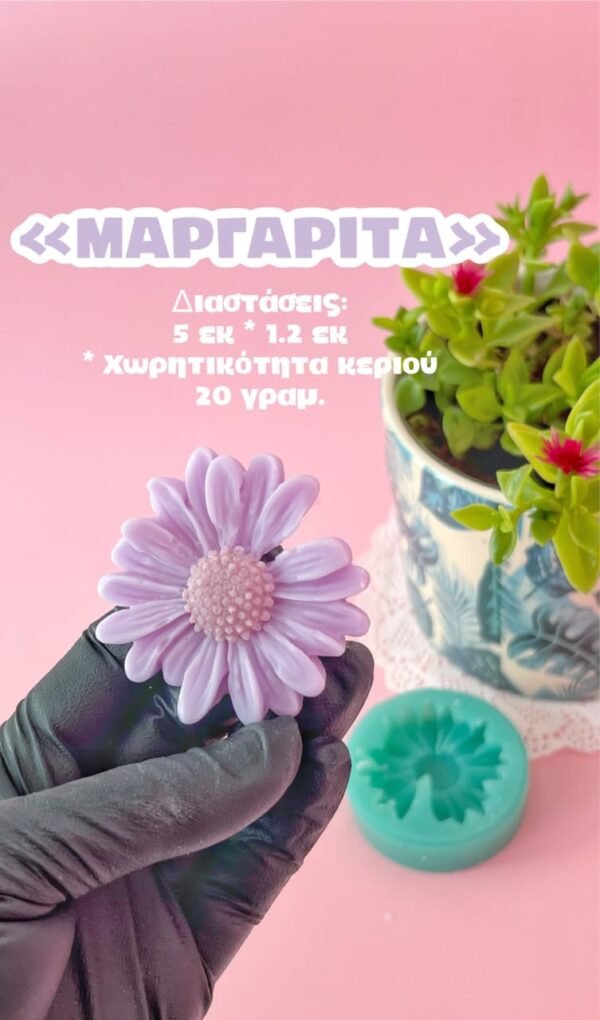 Μαργαρίτα