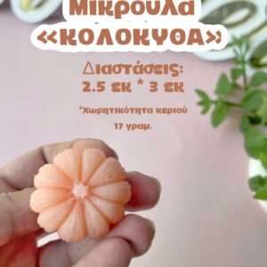 Κολοκύθα mini size