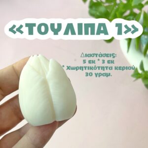 Τουλίπα Νο1