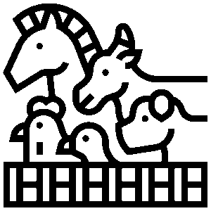 Ζωάκια